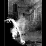 Tichý a pomalý zabiják