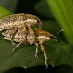 ONA:dneska to nějak nejde,ON: TAKY SI NEMŮŽEŠ NA NIKOHO VZPOMENOUT?