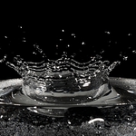 koruna vodního království