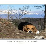 Zasa tie Tatry? Že ťa to baví ...