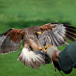 daj sem celú ruku nielen prst