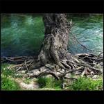 Down by the Riverside