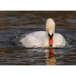 Bejt tebou, tak zdrham :-)