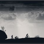 Bitter Sweet Reality