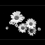 nic mě nenapadlo... :-)