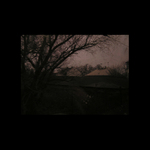 ohlédnutí se zpět.