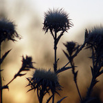 Při čekání na nový den II.