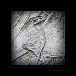 Stavební zátiší II.