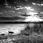 Ke koupání to není