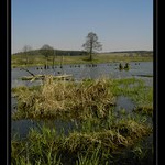 Za Bukovym * by bike 3.2007