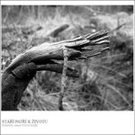 stáří patří k životu