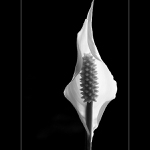 *černobílé snění*