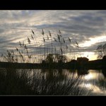 *podvečerní romantika*