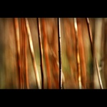 abstrakcia prírodná II...