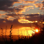 ZAPAD SLUNCE NAD WAIOURU