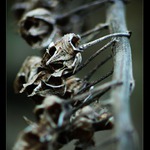 Co zbylo z loňského léta