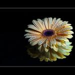 Zrcadlo zrcadlo........