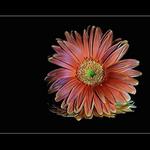 Zrcadlo zase trochu jinak