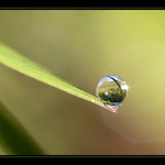 Magická přitažlivost slunce