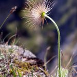 V Súľovských skalách 1