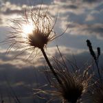 V Súľovských skalách 2