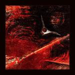 Na Alfa Centauri je teploučko