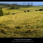 VRCHY DOLNÍ PASEKY