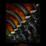FIREWALL
