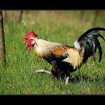 Radši rychle zmizím!