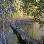 cesta k Rákosníčkovi