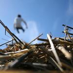 vesmirnyluda.hp - colo