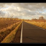 Cesta brzy na jaře...