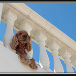 Můj dům,můj .....