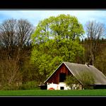 ...na samotě u lesa...