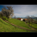 Všechny cesty vedou... domů