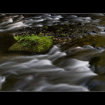 V sametovém objetí