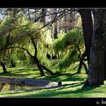 Zákoutí městského parku