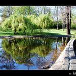 Zákoutí městského parku II