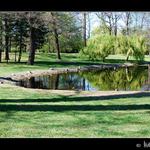 Zákoutí městského parku III