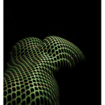 Jungle Lizard Princess