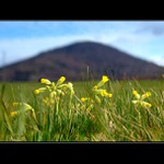 V trávě pod kopcem