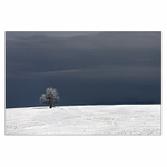 Poslední pokus zimy 1