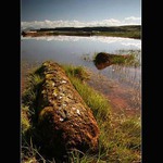 Poloostrov  Vatnstnes