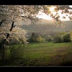  ** Jeden jarní podvečer **