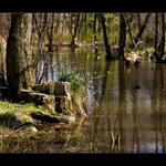 Slepé rameno řeky Hron