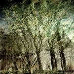 ...obrázky z vody...