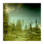 ...jožin z bažin...