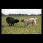 třínohá turbofletka a bodie