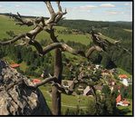 Už tu dlouho nebudu