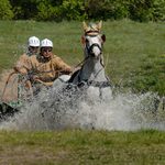 -- Spřežení  2  --